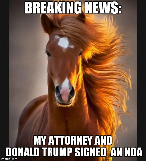 There Are Worse Things Than Being Called 'Horseface." Such As Being Like The Other End, Donald! | BREAKING NEWS:; MY ATTORNEY AND DONALD TRUMP SIGNED  AN NDA | image tagged in horse,donald trump | made w/ Imgflip meme maker