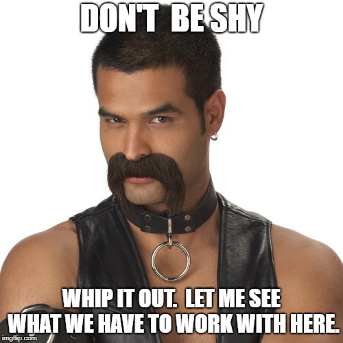 leather mustache | DON'T  BE SHY; WHIP IT OUT.  LET ME SEE WHAT WE HAVE TO WORK WITH HERE. | image tagged in leather mustache | made w/ Imgflip meme maker
