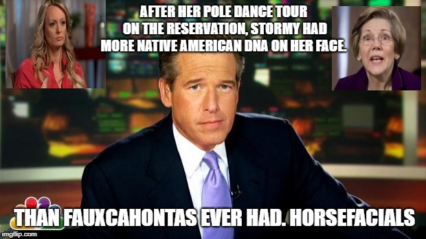 brain williams | AFTER HER POLE DANCE TOUR ON THE RESERVATION, STORMY HAD MORE NATIVE AMERICAN DNA ON HER FACE. THAN FAUXCAHONTAS EVER HAD. HORSEFACIALS | image tagged in brain williams | made w/ Imgflip meme maker