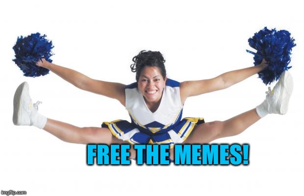 Cheerleader | FREE THE MEMES! | image tagged in cheerleader | made w/ Imgflip meme maker