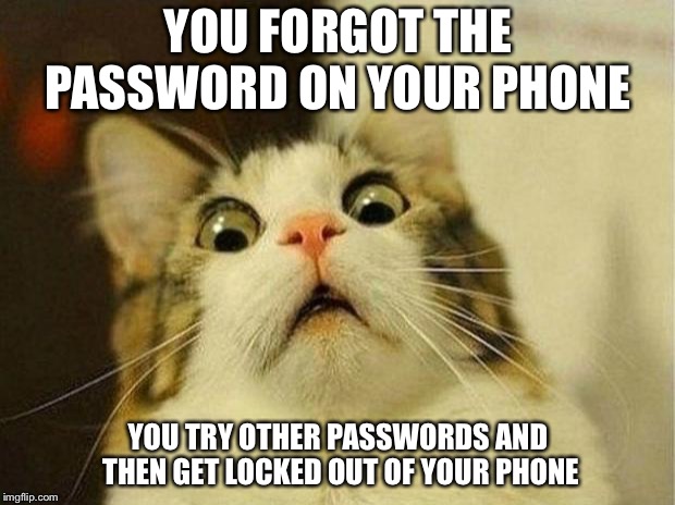 Scared Cat | YOU FORGOT THE PASSWORD ON YOUR PHONE; YOU TRY OTHER PASSWORDS AND THEN GET LOCKED OUT OF YOUR PHONE | image tagged in memes,scared cat | made w/ Imgflip meme maker