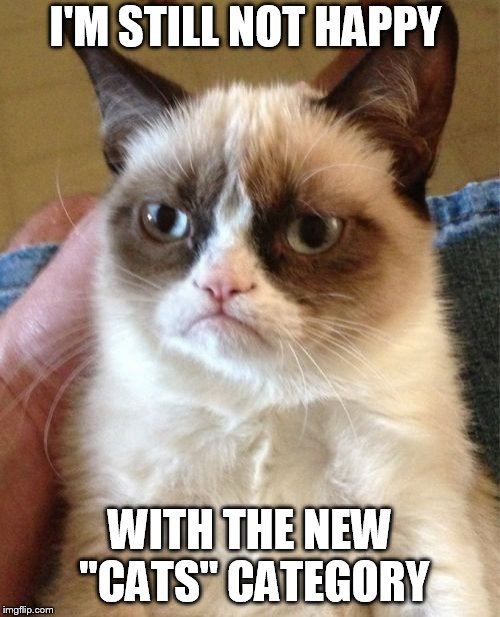 Grumpy Cat | I'M STILL NOT HAPPY; WITH THE NEW "CATS" CATEGORY | image tagged in memes,grumpy cat | made w/ Imgflip meme maker
