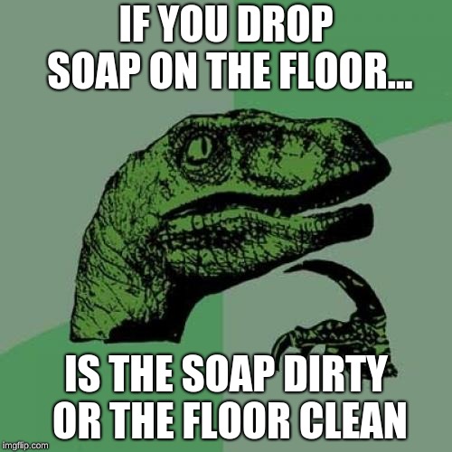 Philosoraptor | IF YOU DROP SOAP ON THE FLOOR... IS THE SOAP DIRTY OR THE FLOOR CLEAN | image tagged in memes,philosoraptor | made w/ Imgflip meme maker