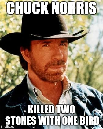CHUCK NORRIS KILLED TWO STONES WITH ONE BIRD | made w/ Imgflip meme maker