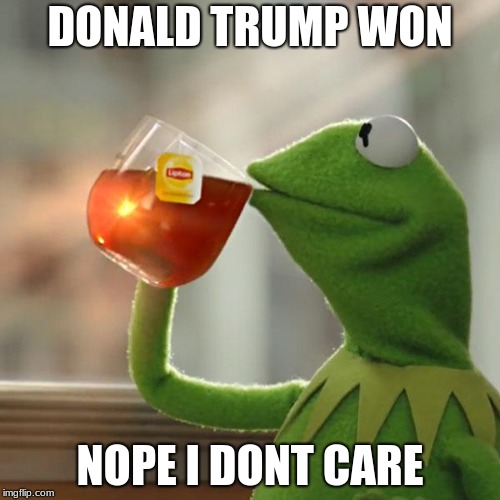 But That's None Of My Business | DONALD TRUMP WON; NOPE I DONT CARE | image tagged in memes,but thats none of my business,kermit the frog | made w/ Imgflip meme maker