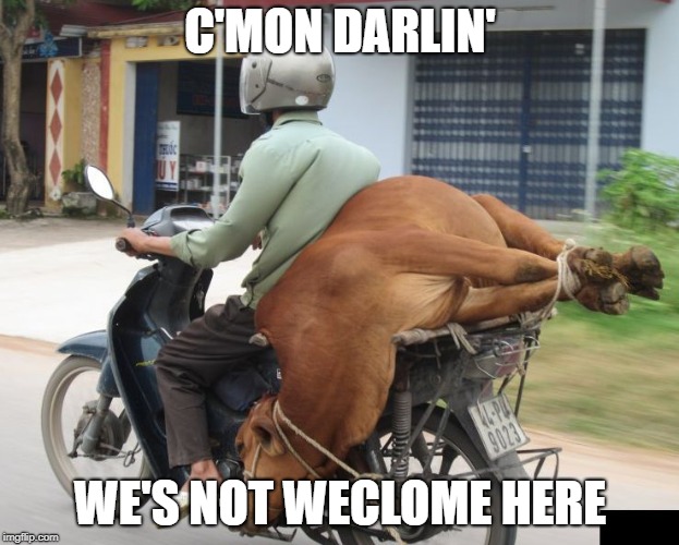 C'MON DARLIN' WE'S NOT WECLOME HERE | made w/ Imgflip meme maker