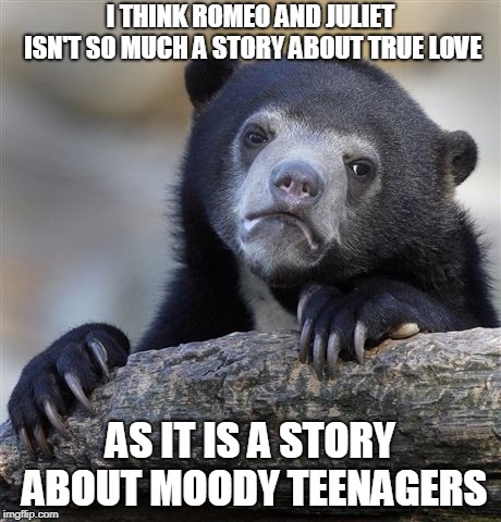 Confession Bear Meme | I THINK ROMEO AND JULIET ISN'T SO MUCH A STORY ABOUT TRUE LOVE AS IT IS A STORY ABOUT MOODY TEENAGERS | image tagged in memes,confession bear | made w/ Imgflip meme maker