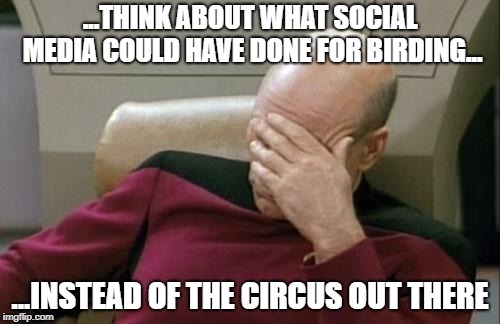 Captain Picard Facepalm Meme | ...THINK ABOUT WHAT SOCIAL MEDIA COULD HAVE DONE FOR BIRDING... ...INSTEAD OF THE CIRCUS OUT THERE | image tagged in memes,captain picard facepalm | made w/ Imgflip meme maker