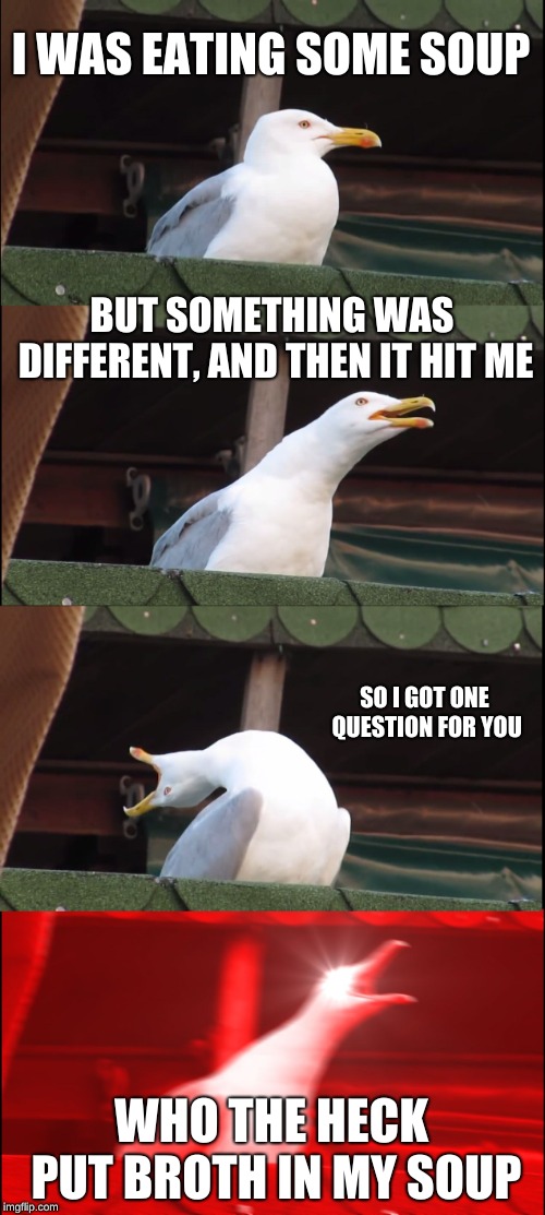 Inhaling Seagull | I WAS EATING SOME SOUP; BUT SOMETHING WAS DIFFERENT, AND THEN IT HIT ME; SO I GOT ONE QUESTION FOR YOU; WHO THE HECK PUT BROTH IN MY SOUP | image tagged in memes,inhaling seagull | made w/ Imgflip meme maker