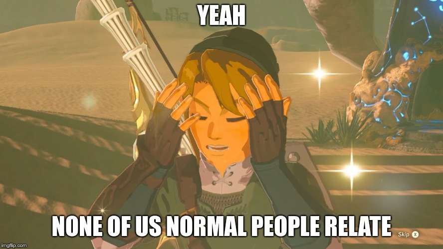 Link WTF | YEAH NONE OF US NORMAL PEOPLE RELATE | image tagged in link wtf | made w/ Imgflip meme maker