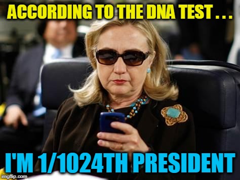 Hillary Clinton Cellphone | ACCORDING TO THE DNA TEST . . . I'M 1/1024TH PRESIDENT | image tagged in memes,hillary clinton cellphone | made w/ Imgflip meme maker