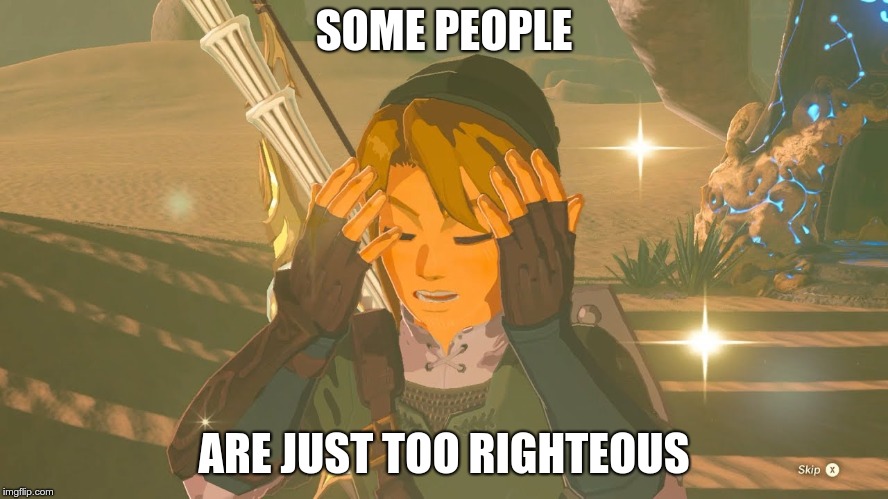 Link WTF | SOME PEOPLE ARE JUST TOO RIGHTEOUS | image tagged in link wtf | made w/ Imgflip meme maker