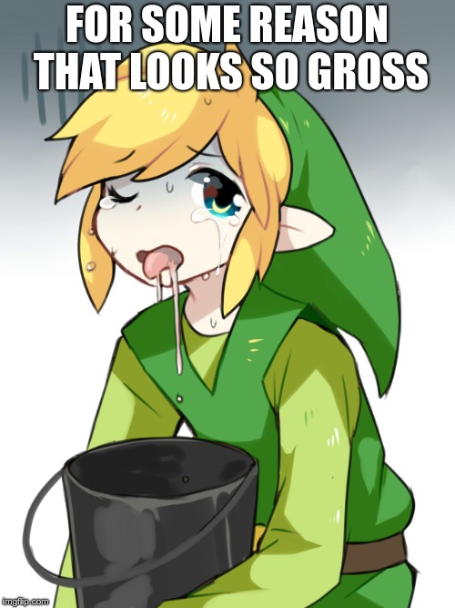Link Sick | FOR SOME REASON THAT LOOKS SO GROSS | image tagged in link sick | made w/ Imgflip meme maker