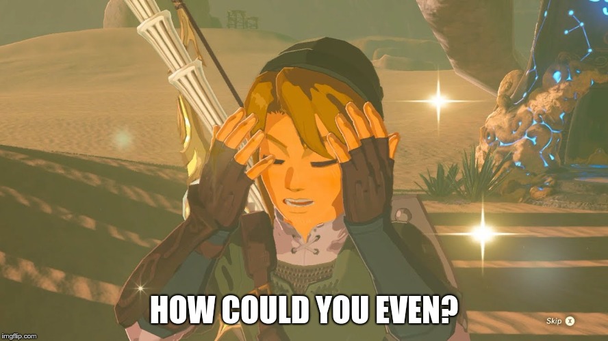 Link WTF | HOW COULD YOU EVEN? | image tagged in link wtf | made w/ Imgflip meme maker