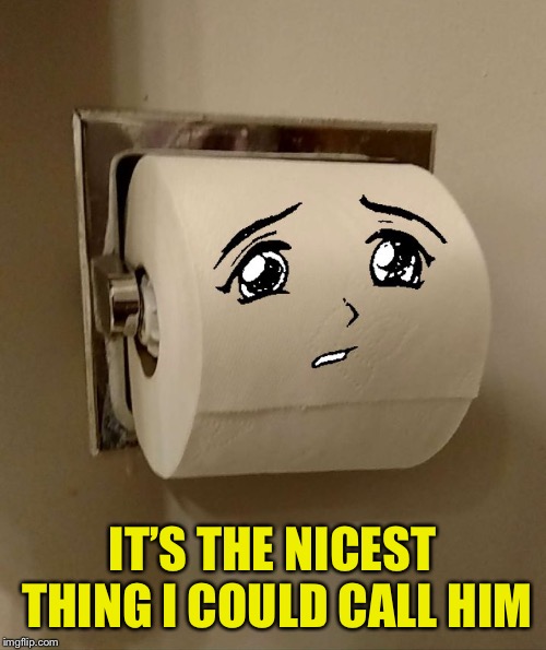 Toilet Paper Senpai | IT’S THE NICEST THING I COULD CALL HIM | image tagged in toilet paper senpai | made w/ Imgflip meme maker