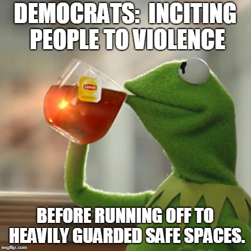 But That's None Of My Business | DEMOCRATS:  INCITING PEOPLE TO VIOLENCE; BEFORE RUNNING OFF TO HEAVILY GUARDED SAFE SPACES. | image tagged in memes,but thats none of my business,kermit the frog | made w/ Imgflip meme maker