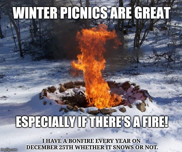 WINTER PICNICS ARE GREAT ESPECIALLY IF THERE'S A FIRE! I HAVE A BONFIRE EVERY YEAR ON DECEMBER 25TH WHETHER IT SNOWS OR NOT. | made w/ Imgflip meme maker