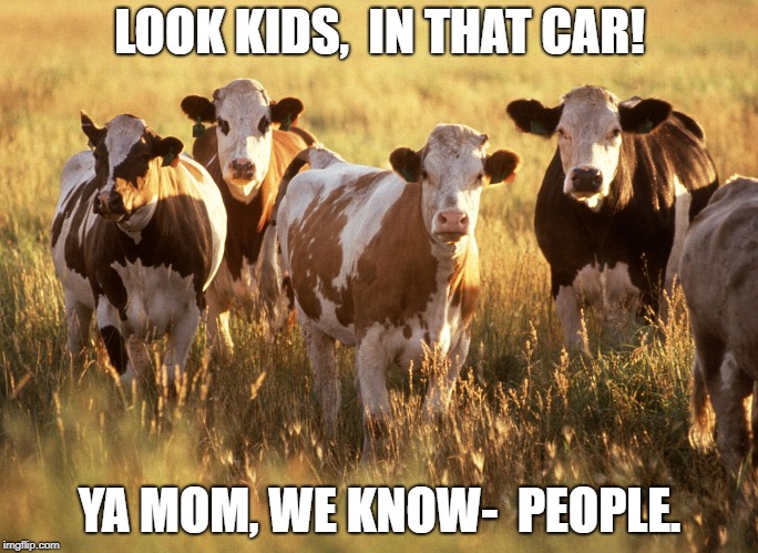 People say the darned-est  things.
 | LOOK KIDS,  IN THAT CAR! YA MOM, WE KNOW-  PEOPLE. | image tagged in kids,family,vacation,road trip,nostalgia | made w/ Imgflip meme maker