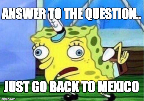 Mocking Spongebob Meme | ANSWER TO THE QUESTION.. JUST GO BACK TO MEXICO | image tagged in memes,mocking spongebob | made w/ Imgflip meme maker
