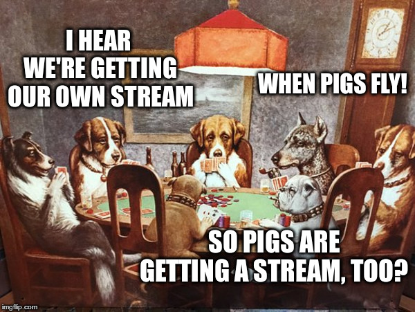 Poker Playing Dogs | I HEAR WE'RE GETTING OUR OWN STREAM; WHEN PIGS FLY! SO PIGS ARE GETTING A STREAM, TOO? | image tagged in poker playing dogs,united we stand,divided we fall,make all streams the default option | made w/ Imgflip meme maker
