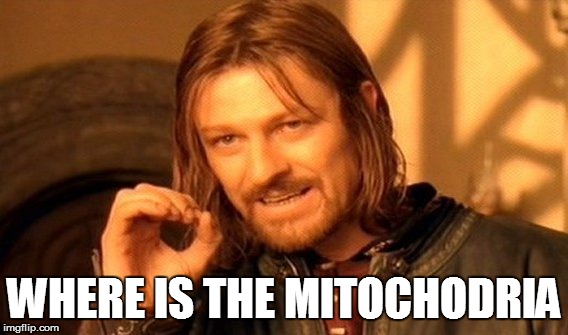 One Does Not Simply Meme | WHERE IS THE MITOCHODRIA | image tagged in memes,one does not simply | made w/ Imgflip meme maker