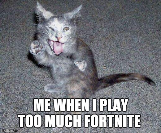 ADHD Cat | ME WHEN I PLAY TOO MUCH FORTNITE | image tagged in adhd cat | made w/ Imgflip meme maker