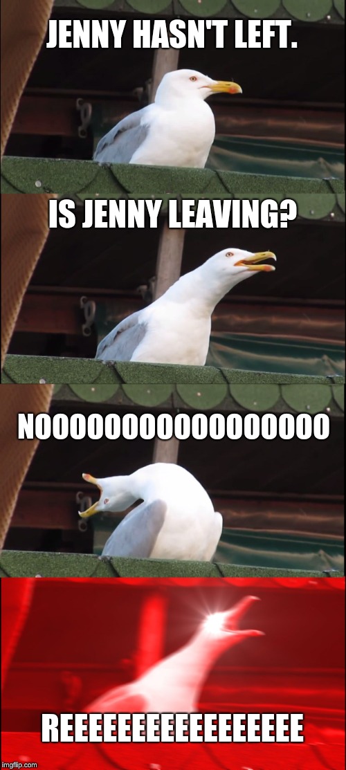 Inhaling Seagull | JENNY HASN'T LEFT. IS JENNY LEAVING? NOOOOOOOOOOOOOOOOO; REEEEEEEEEEEEEEEEE | image tagged in memes,inhaling seagull | made w/ Imgflip meme maker