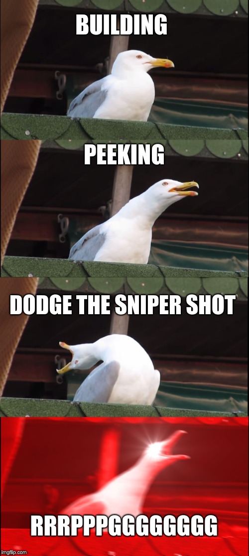 Inhaling Seagull Meme | BUILDING; PEEKING; DODGE THE SNIPER SHOT; RRRPPPGGGGGGGG | image tagged in memes,inhaling seagull | made w/ Imgflip meme maker