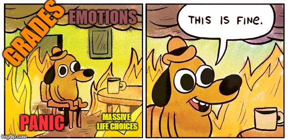 This Is Fine | EMOTIONS; GRADES; MASSIVE LIFE CHOICES; PANIC | image tagged in this is fine dog | made w/ Imgflip meme maker