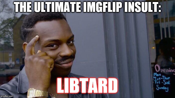 Roll Safe Think About It Meme | THE ULTIMATE IMGFLIP INSULT: LIBTARD | image tagged in memes,roll safe think about it | made w/ Imgflip meme maker