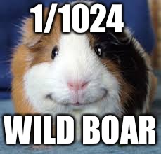 Guinea Pig | 1/1024; WILD BOAR | image tagged in guinea pig | made w/ Imgflip meme maker