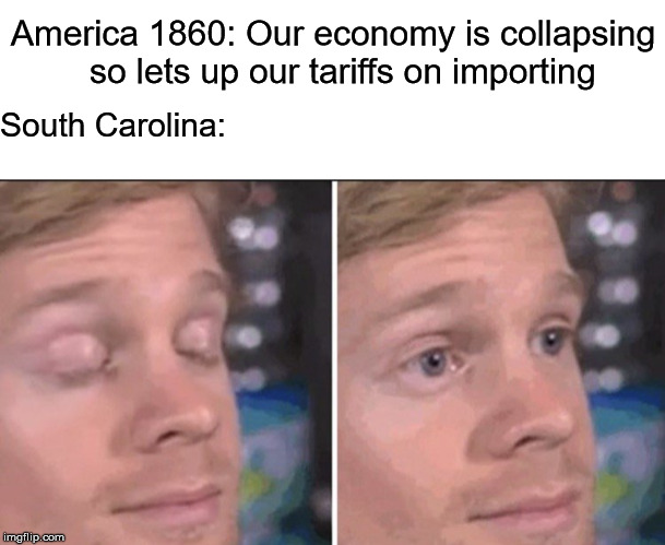 blinking guy | America 1860: Our economy is collapsing  so lets up our tariffs on importing; South Carolina: | image tagged in white guy | made w/ Imgflip meme maker