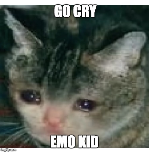 GO CRY; EMO KID | image tagged in cats,emos | made w/ Imgflip meme maker