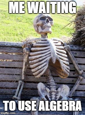 Waiting Skeleton | ME WAITING; TO USE ALGEBRA | image tagged in memes,waiting skeleton | made w/ Imgflip meme maker