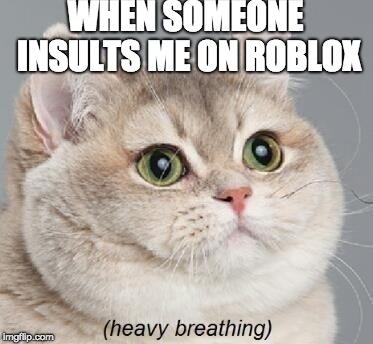 Heavy Breathing Cat | WHEN SOMEONE INSULTS ME ON ROBLOX | image tagged in memes,heavy breathing cat | made w/ Imgflip meme maker
