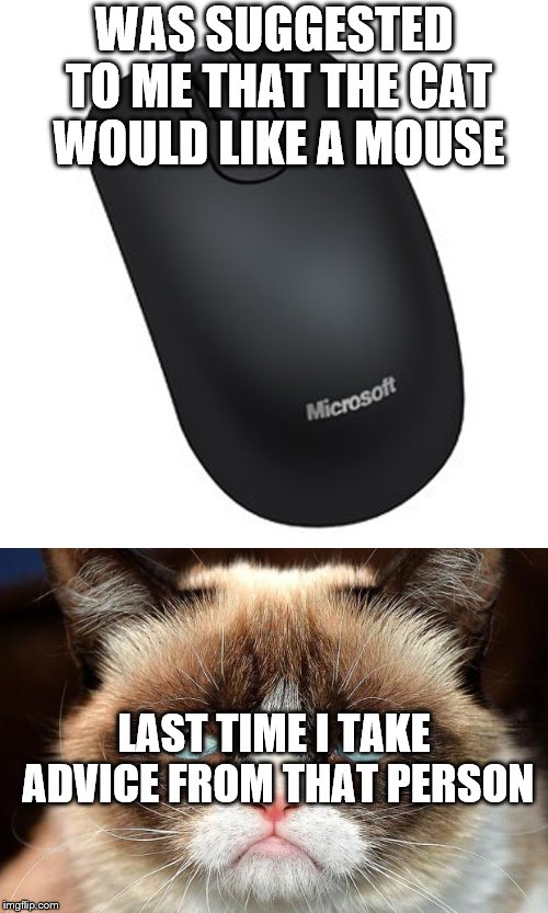 WAS SUGGESTED TO ME THAT THE CAT WOULD LIKE A MOUSE; LAST TIME I TAKE ADVICE FROM THAT PERSON | image tagged in grumpy cat | made w/ Imgflip meme maker
