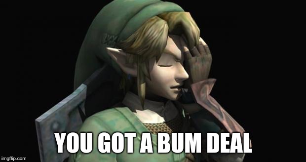 Link Facepalm | YOU GOT A BUM DEAL | image tagged in link facepalm | made w/ Imgflip meme maker