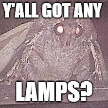 Y'ALL GOT ANY; LAMPS? | image tagged in moth | made w/ Imgflip meme maker