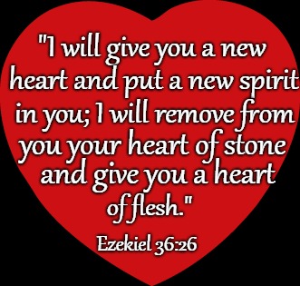 Ezekiel 36:26 I Will Give You A New Heart And Put A New Spirit In You | "I will give you a new; heart and put a new spirit; in you; I will remove from; you your heart of stone; and give you a heart; of flesh."; Ezekiel 36:26 | image tagged in bible,holy bible,holy spirit,bible verse,verse,god | made w/ Imgflip meme maker