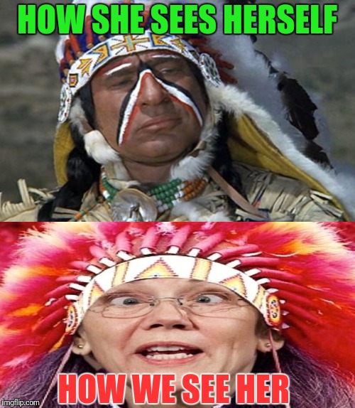 How | HOW SHE SEES HERSELF; HOW WE SEE HER | image tagged in elizabeth warren,scumbag,dna,native american,reality | made w/ Imgflip meme maker