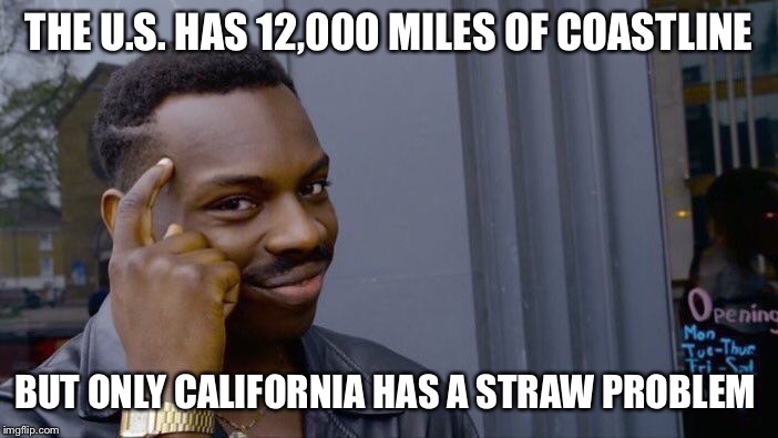 It’s almost as if the people preaching the most about environmentalism are the ones who trash the environment.... | THE U.S. HAS 12,000 MILES OF COASTLINE; BUT ONLY CALIFORNIA HAS A STRAW PROBLEM | image tagged in memes,roll safe think about it,funny memes,plastic straws,liberal hypocrisy | made w/ Imgflip meme maker