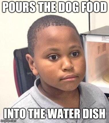 Minor Mistake Marvin Meme | POURS THE DOG FOOD; INTO THE WATER DISH | image tagged in memes,minor mistake marvin | made w/ Imgflip meme maker