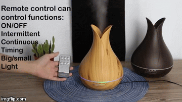 image tagged in gifs | made w/ Imgflip video-to-gif maker
