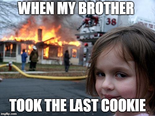 Disaster Girl Meme | WHEN MY BROTHER; TOOK THE LAST COOKIE | image tagged in memes,disaster girl | made w/ Imgflip meme maker