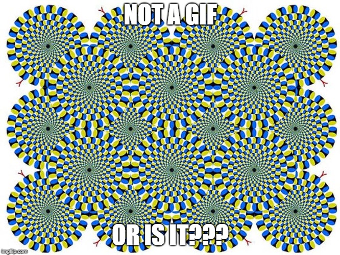 IS IT A GIF? | NOT A GIF; OR IS IT??? | image tagged in optical illusion | made w/ Imgflip meme maker