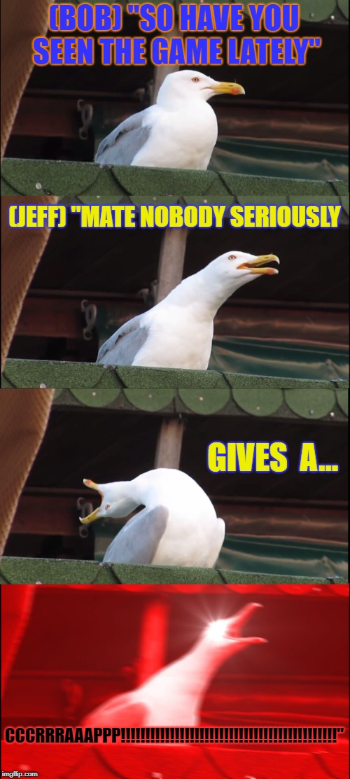 Seagull's with sports (tweaked) | (BOB) "SO HAVE YOU SEEN THE GAME LATELY"; (JEFF) "MATE NOBODY SERIOUSLY; GIVES  A... CCCRRRAAAPPP!!!!!!!!!!!!!!!!!!!!!!!!!!!!!!!!!!!!!!!!!!!!" | image tagged in memes,inhaling seagull,sports | made w/ Imgflip meme maker