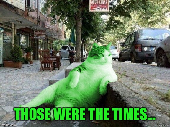 RayCat relaxing | THOSE WERE THE TIMES... | image tagged in raycat relaxing | made w/ Imgflip meme maker