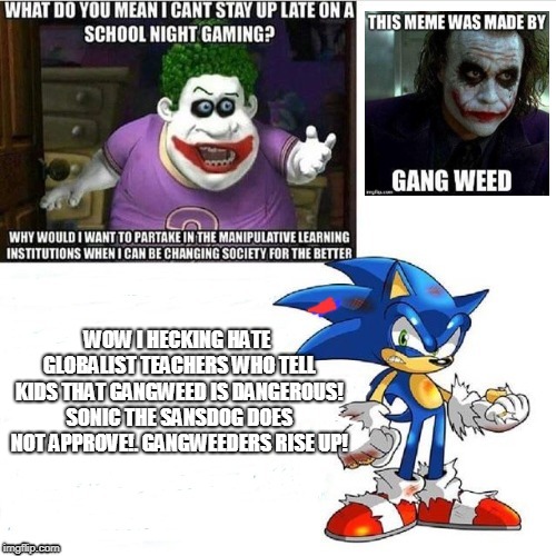 WOW I HECKING HATE GLOBALIST TEACHERS WHO TELL KIDS THAT GANGWEED IS DANGEROUS! SONIC THE SANSDOG DOES NOT APPROVE!. GANGWEEDERS RISE UP! | made w/ Imgflip meme maker