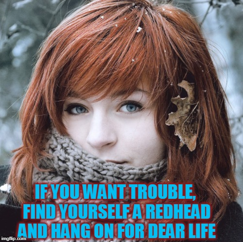 “Red hair, sir, in my opinion, is dangerous.” ―P.G. Wodehouse | IF YOU WANT TROUBLE, FIND YOURSELF A REDHEAD AND HANG ON FOR DEAR LIFE | image tagged in vince vance,redheads,autumn leaves,pretty blue eyes,fiery redheads,very good jeeves | made w/ Imgflip meme maker