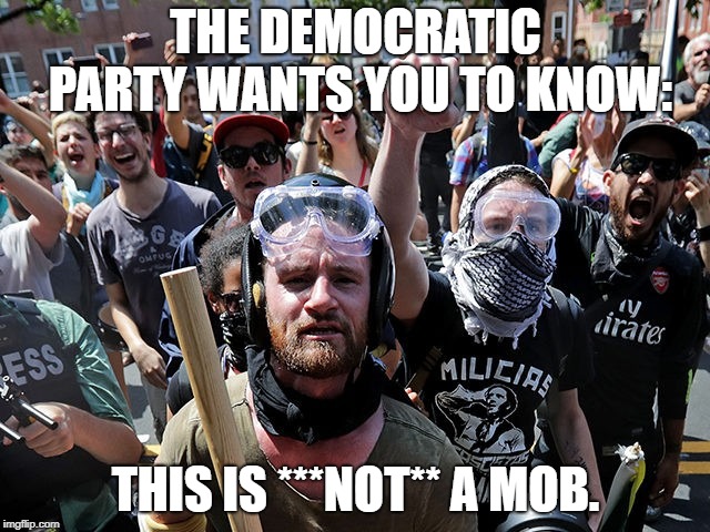 This is ***NOT*** a MOB. | THE DEMOCRATIC PARTY WANTS YOU TO KNOW:; THIS IS ***NOT** A MOB. | image tagged in antifa,mob democrats | made w/ Imgflip meme maker